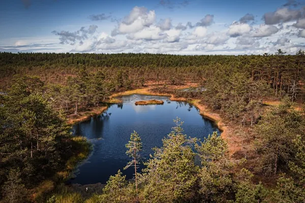 Viru soo boardwalk through Lahemaa National Park bogs in Estonia