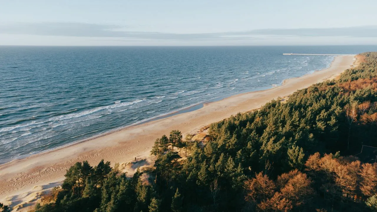 Palanga's wide beach backed by low grassy dunes